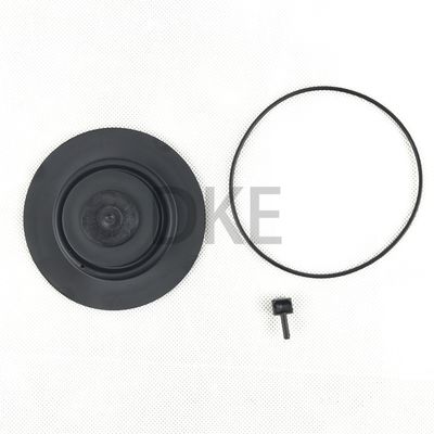 Goyen Tip K2549 Darbe Valf Bakım Kits RCAC25 Serisi T3, DD3, FS3