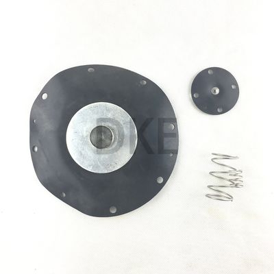 Goyen Tipi K10200 Şok Dalgası Diyafragma Kiti Valf Modeli CA102 RCA102 MM Serisi için Naylon
