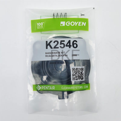 Goyen Tip 2546 K2549 Nabız Valf Bakım Kits RCAC25 Serisi T3, DD3, FS3,