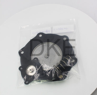 C113685 Toz temizleme ekipmanları için puls solenoid valfi