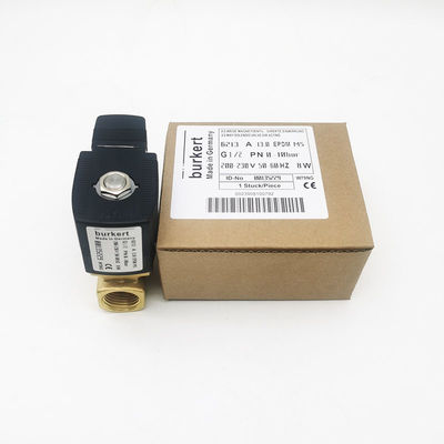 Burkert Su Valfı 00135229 Tip 6213 0-10 bar basınçlı