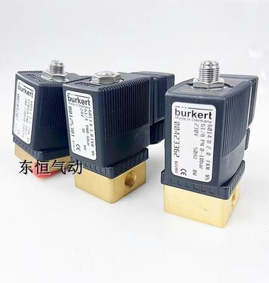Burkert 00423362 Solenoid Kontrol Valfı G Filtre Bağlantısı