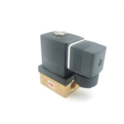 Burkert 00125341 6014C Solenoid Valf Normalde Kapalı G1/8 2.5 Akış Deliği DC24V AC24V AC220V