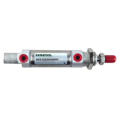 ASCO Numatics DSNU NSS 025/00250000 ASCO Numatics Mini Pnömatik Silindirler