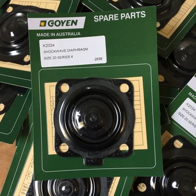 Goyen RCAC20 Bakım Kits Tipi K2034 Serisi T4, ST4, DD4, FS4 Nitril malzeme en iyi seçenektir