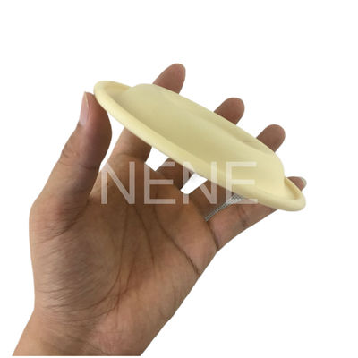 3/4 "inç 93465 93111 DN20 Ingersoll Rand Pompa Diyafragmaları Santoprene/PTFE Diyafragma Onarım Kiti PD07P-APS-PAA PD07P-APS-PTT