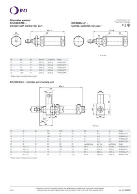 RM/8012/M/150 ISO yuvarlak çizgi serisi Piston Pnömatik Silindir NORGREN Sıkıştırılmış hava dayanıklı tasarımı