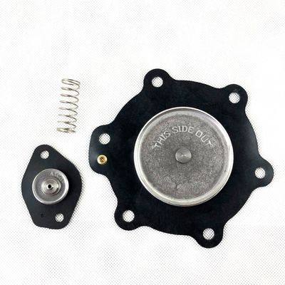 ASCO C113827 Nitrile/Buna veya Viton Nabız Valfı Diyafram SCG353A047 Nabız Valfı