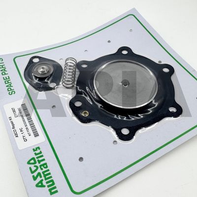 C113827 SCG353A047 SCG353A065 ASCO Tipi Diyafragma Onarım Kits