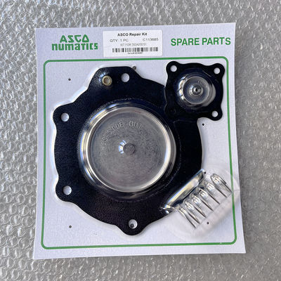 C113685 Asco Tipi Pulse Valve Diaphragm Onarım Kiti Diaphragm