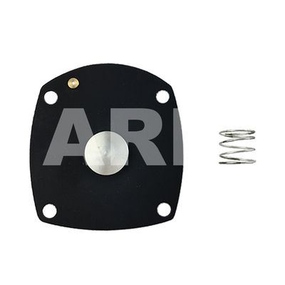 M25 1'' TURBO Tipi Diyafram Tamir Takımı Turbo FP25 FM25 İçin