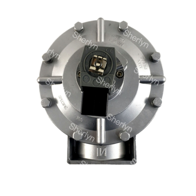 GOYEN 3-inch Right Angle Electromagnetic Pulse Valve CA76T010-300 CA76T010-305 Right Angle pulse Valve