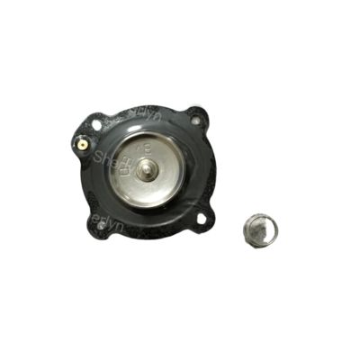 Mecair DB18 1 inç diyafram onarım kiti VNP208 VNP214 Nabız valfi toz temizleme valfi