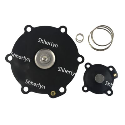 Mecair 2 inç Diyafram Tamir Kiti DB116 DB16 VNP216 VEM216 VNP316 VITON Özelleştirme