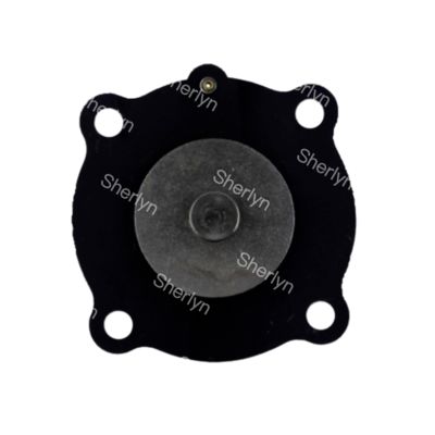 Joil Darbe Vanası Diyafram DN25 JISI25 JICI25 JICR25 Kore Asahi 1 inç Diyafram Tamir Kiti