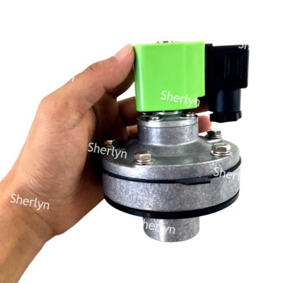 DMF-Y-25 1'' BFEC gömülü toz toplayıcı patlama valfi 24V DC 220V AC