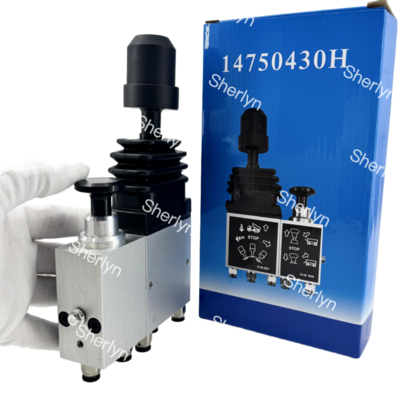 HYYA 14750430H Kombine Valf DCM01 D1380001 D1380026 Otomobil Valfi