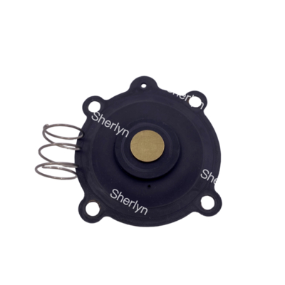 ASCO C131606 Diyafram Tamir Kitsesi SCE238D004 SCE238D009 Su Valfi Diyaframı NBR/VITON için Uygun