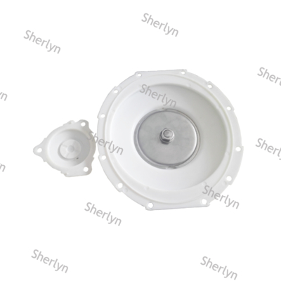 Norgren 3'' İnç 8296900.8171 8297900.8171 Darbe Valfi 1271526 Diyafram Kiti