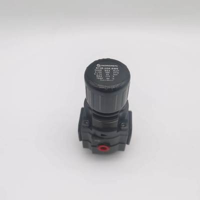 R73G-2BK-RMN Excelon Genel Amaçlı Basınç Düzenleyicisi G1/4 0.3-10 Bar Ölçüsüz NORGREN