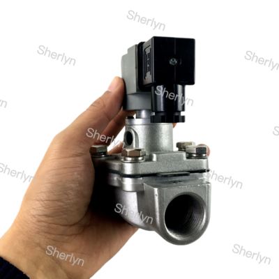 CA20T CA20T010-300 CA20T010-305 Goyen Pnömatik Valf Darbe Valfi 3/4 Inç