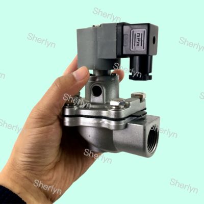 CA20T CA20T010-300 CA20T010-305 Goyen Pnömatik Valf Darbe Valfi 3/4 Inç