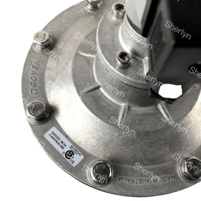 GOYEN Elektromanyetik Darbe Valfi CA62T 2 1/2 Düz Açı Tipi Uygun Diyafragma K5004 K5000