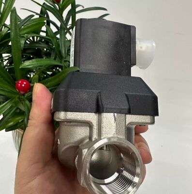 BurkeRT 6213EV 00222168 00222169 00222170 Normalde Kapalı Solenoid Valf Paslanmaz Çelik Solenoid Valf Pnömatik Kontrol Valfi