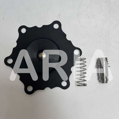 K302284 ASCO Solenoid Valf Diyafram K302383 SCE210D022 8210G022 Su Valfi