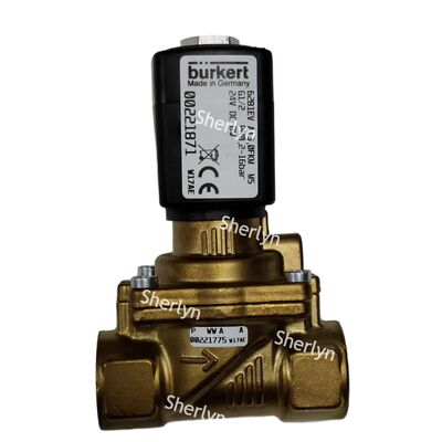 Burkert Solenoid Valvu 00322511 DC24V 6281 Tip Su Valvu G1/4 İki pozisyonlu Normal Kapalı Tip