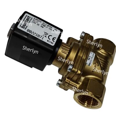 Burkert Solenoid Valve 00322513 Çalışma Voltajı AC220V Tip 6281 Su Valvu G1/4 İki-İki yönlü pozisyon Normalde Kapalı