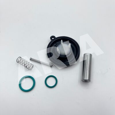 1256275 NORGREN BUSCHJOST Solenoid Valf Diyafragma Onarım Kits 8240300 DN20