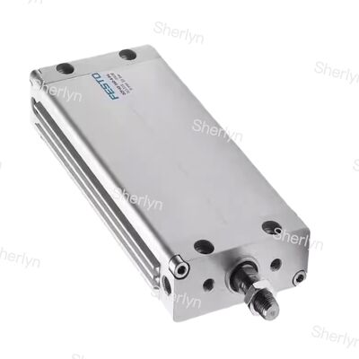 Çifte eylemli 100 mm vuruşlu DZF-12-100-A-P-A 161229