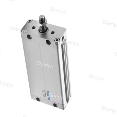 Çifte eylemli 100 mm vuruşlu DZF-12-100-A-P-A 161229