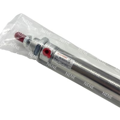 Kısa Seyahat Manyetik Silindir RM/28010/M/40 Ø10mm 40mm Strok NORGREN ISO 6432 Paslanmaz Boru Tasarımı