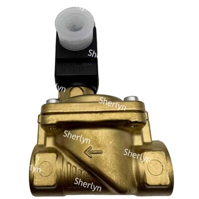 NBR Seal Elektrik Burkert Solenoid Valf 3/4 00221937 DC24V