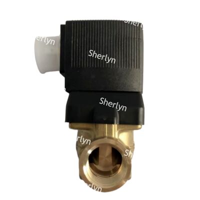 00221933 BURKERT Solenoid Valf 6281 Tip G3/4 2/2 Genellikle AC220V açılır