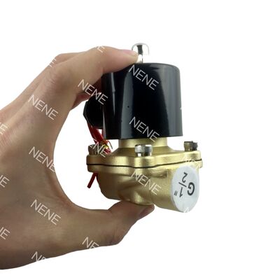 UW-25 Dövme Pirinç Gövde Hava Vanası UNID 1" Ağız 25 mm Su Vanası