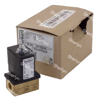 Burkert 00134240 Solenoid Valf 6013 Doğrudan Etkili G1/8 2/2 NC 2.5mm Ağız FKM Conta Pirinç Gövde 24VDC 8W 0-10bar