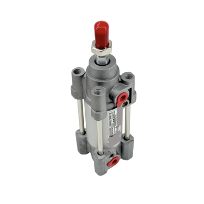 Çifte Eylemli ISO Silindir RA/802032/M/50 Norgren Montaj hatları için uyarlanabilir yastıklama