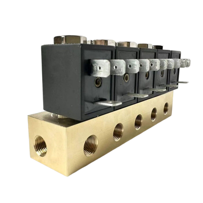 1/4' Port Boyutu Pnömatik Solenoid Valf 1913BB302 Doğrudan Eylem Operasyonu FKM Mühürlenme Malzemesi 2/2 Yol Normalde Açık