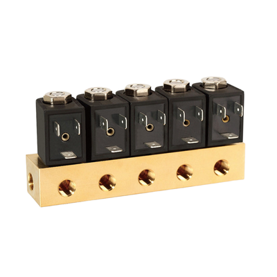 1/4' Port Boyutu Pnömatik Solenoid Valf 1913BB302 Doğrudan Eylem Operasyonu FKM Mühürlenme Malzemesi 2/2 Yol Normalde Açık
