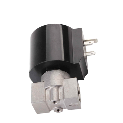 8.7AAS025B Paslanmaz Çelik 304 Hava Valfı 3/8 1/4 3/8 Port Boyutu PTFE Mühürleyici Malzeme Açıklık Boyutu 2.5mm 24VAC Voltaj