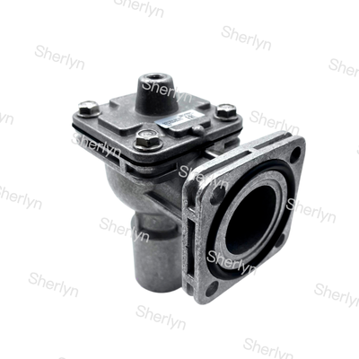 GOYEN 4. nesil RCAC25FS4 1 inçlik flange patlama valfi pnevmatik toz kontrolü