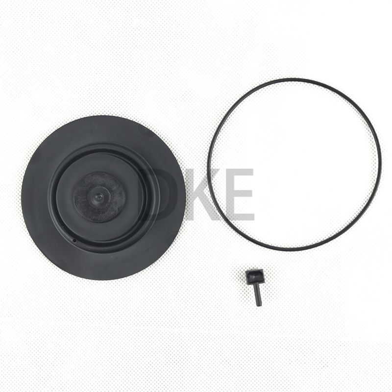 Goyen Tip K2549 Darbe Valf Bakım Kits RCAC25 Serisi T3, DD3, FS3