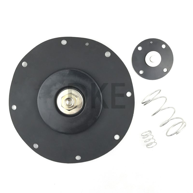 Goyen Tipi K10200 Şok Dalgası Diyafragma Kiti Valf Modeli CA102 RCA102 MM Serisi için Naylon