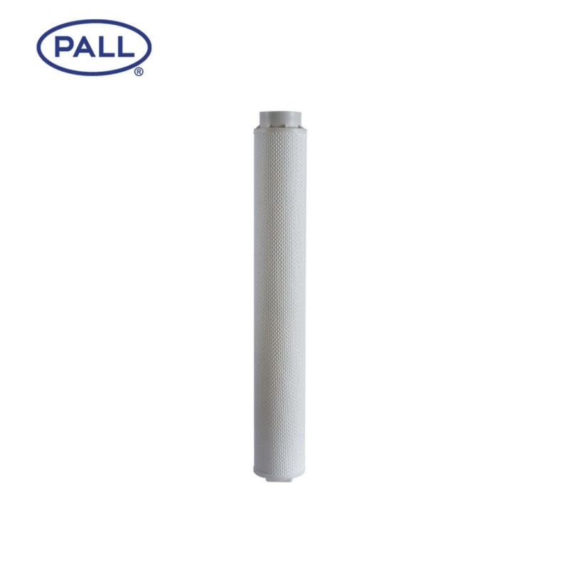 HC6300FCZ26Z PALL hassas filtre elemanları