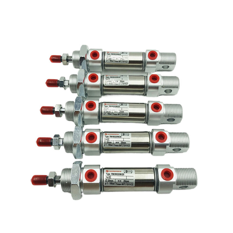 NORGREN Operasyon Magnetik Piston Çift Etkinlikli Silindir RM/8012/M/250 Çeşitli Uygulamalar için