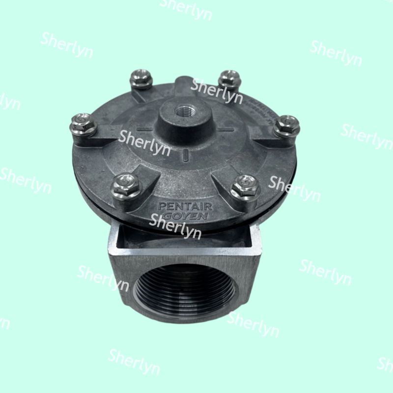 GOYEN Darbe Valfi RCA35T RCA32T 1,5 inç Elektromanyetik Darbe Valfi Püskürtme Valfi Pnömatik Valf