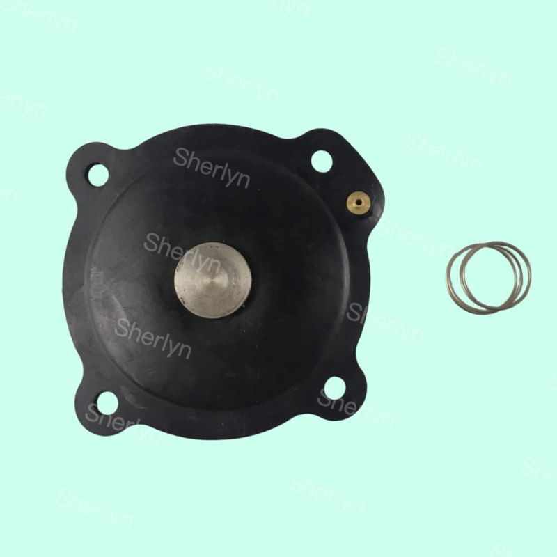 Mecair DB18 1 inç diyafram onarım kiti VNP208 VNP214 Nabız valfi toz temizleme valfi